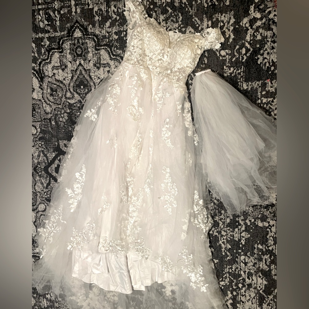 Wedding dress and veil